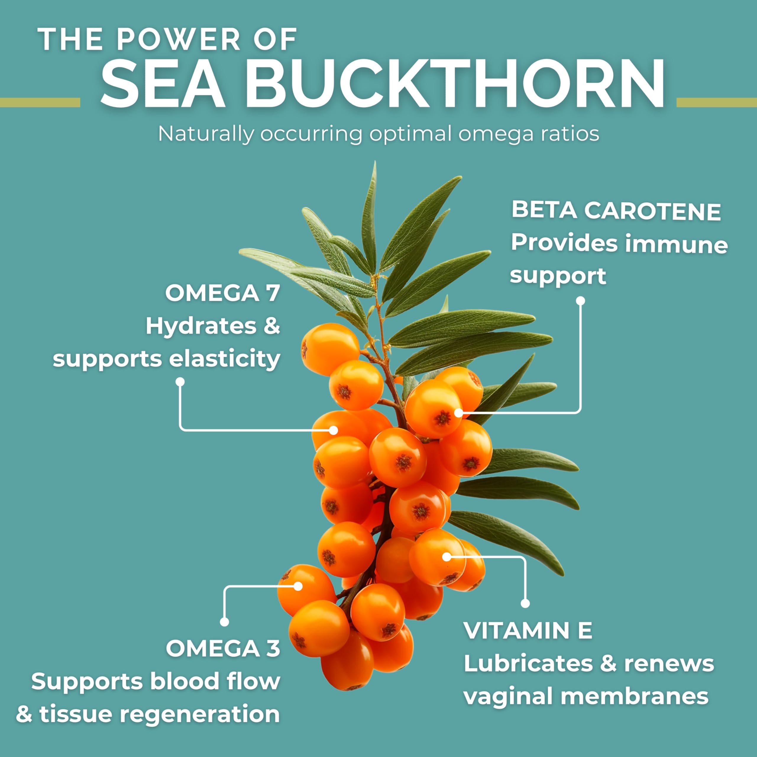 SEABUCKWONDERS Fem-Omega7 softgels close-up for daily intake