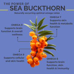SeabuckWonders sea buckthorn berry oil pour, vibrant orange color signaling purity.