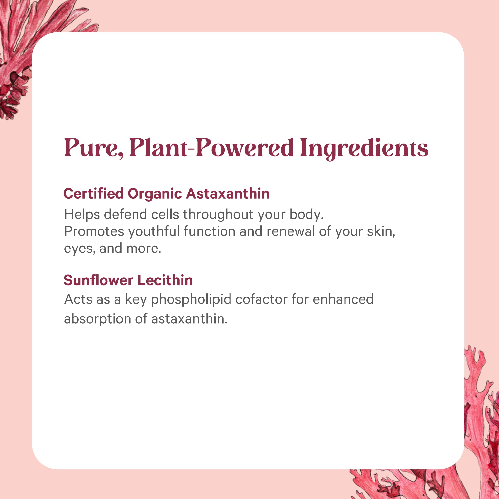 Sealed glass bottle preserves purity of PURE SYNERGY Astaxanthin.