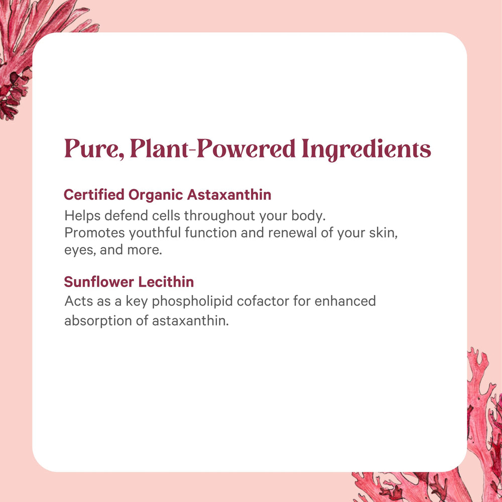 Sealed glass bottle preserves purity of PURE SYNERGY Astaxanthin.