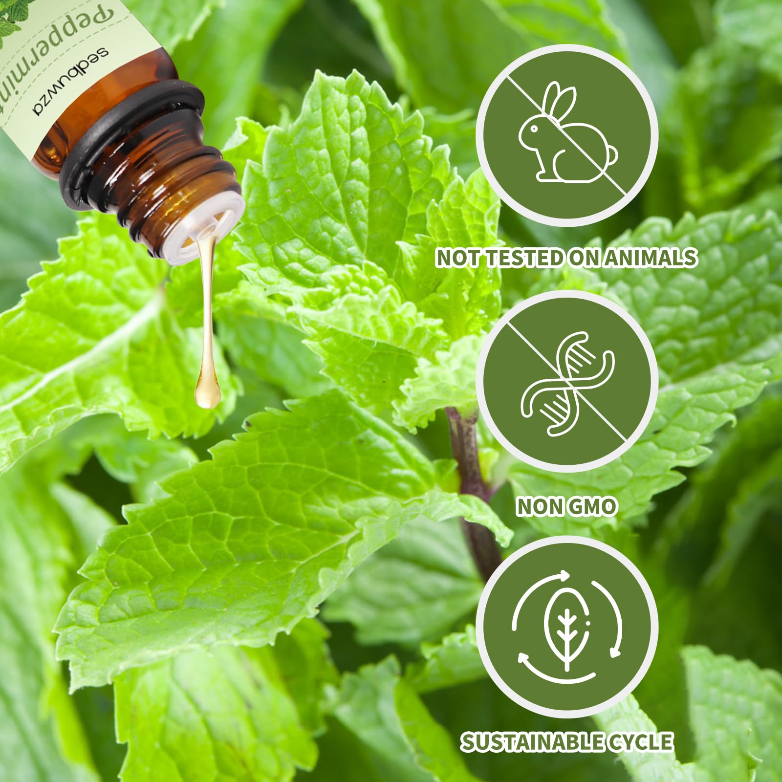 Sedbuwza difusor con aceites para perfumar ambientes