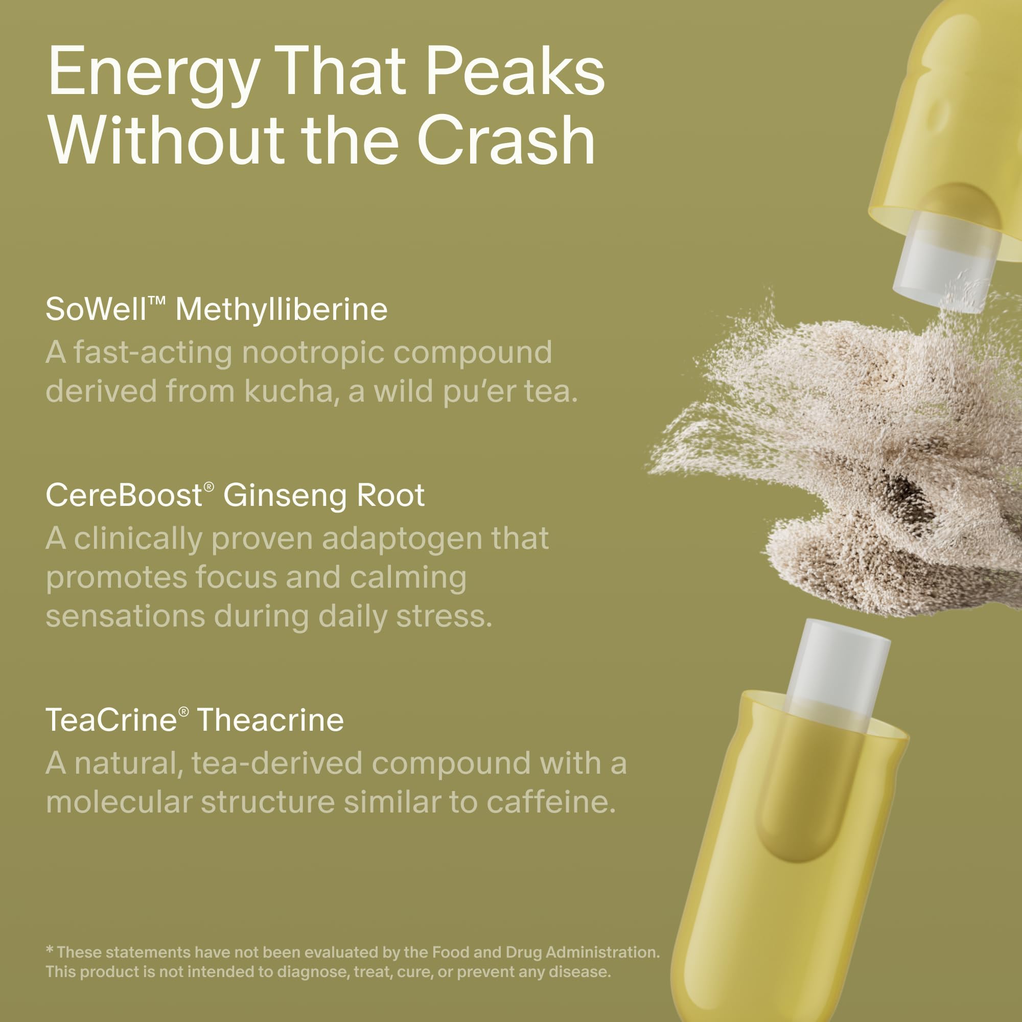 Seed AM-02 Energy Focus interior prebiotic-postbiotic capsule graphic.