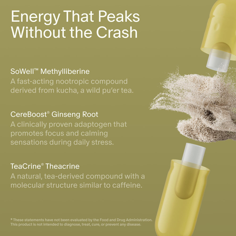 Seed AM-02 Energy Focus interior prebiotic-postbiotic capsule graphic.