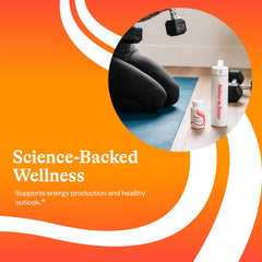 Seeking Health B-Minus label closeup shows folate-free design for sensitive needs.