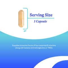 Seeking Health B vitamins blend capsules for balanced energy and brain function