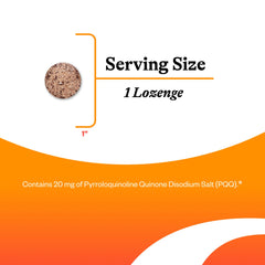 Close-up packaging of Seeking Health PQQ Lozenge highlighting allergen-free formulation.