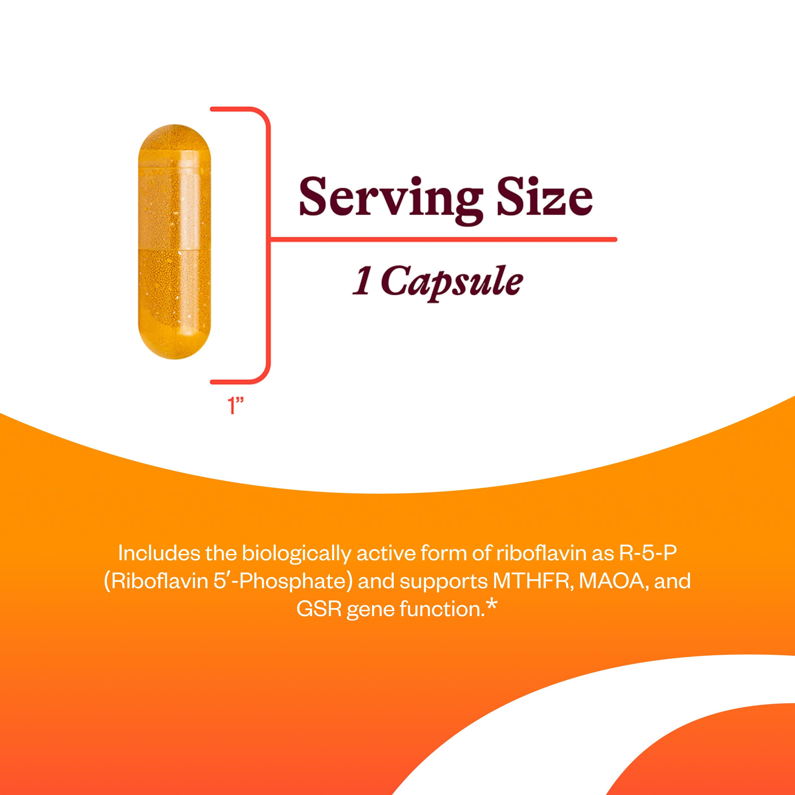 Seeking Health Riboflavin bottle label details emphasizing quality and allergen-free features.
