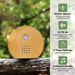 Seektain Birdybox motion sensor activation in living spaces highlights ease of use.
