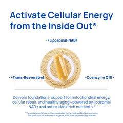 Selerb NADGENIE with CoQ10 and resveratrol signals antioxidant protection for wellness.