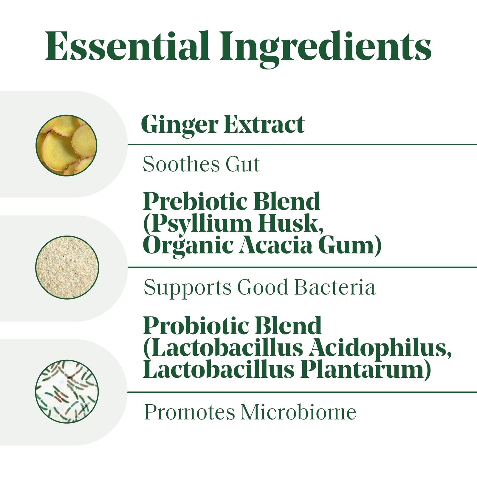 Semaine ginger extract close-up for digestion relief