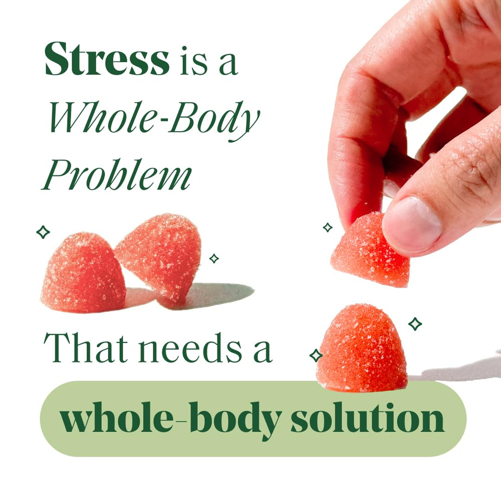 Semaine Stress Less Gummy lemon balm ingredient