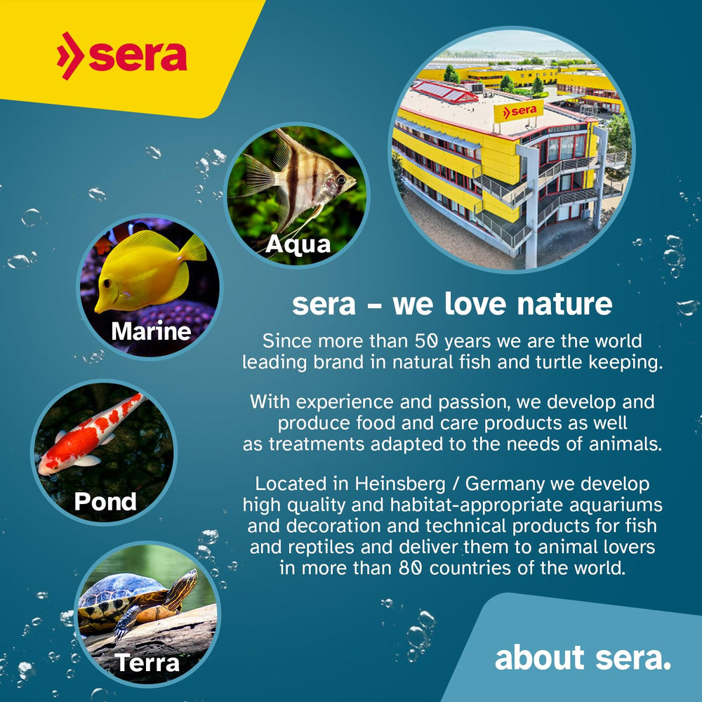 Sera Spirulina Tabs attached to the glass enable easy feeding.