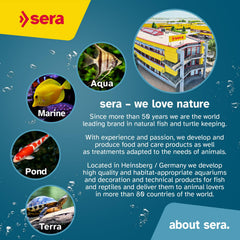 Sera Spirulina Tabs attached to the glass enable easy feeding.