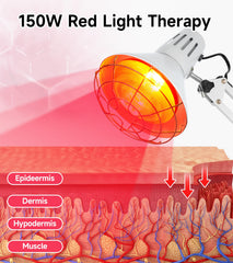 Close-up of the 150W bulb powering infrared therapy sessions.