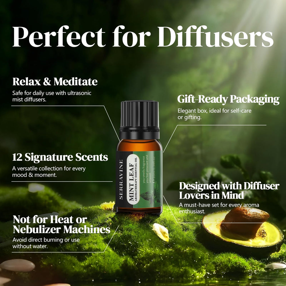 Serravine water-soluble oil blend for diffusers in a bottle.