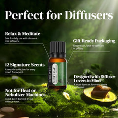 Serravine water-soluble oil blend for diffusers in a bottle.