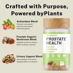 SERSANVE Mushroom blend in packaging image suggesting diverse botanical support.