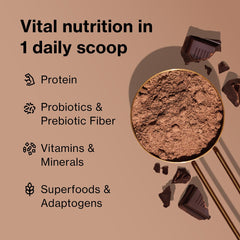 Shakeology Cafe Latte ingredient blend highlights plant protein and fiber for gut-friendly support.
