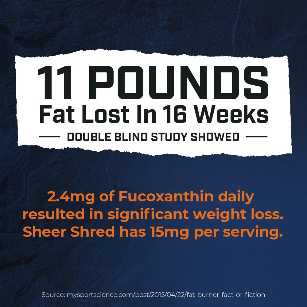 Capsaicin capsule close-up from Sheer Strength Labs for steady energy