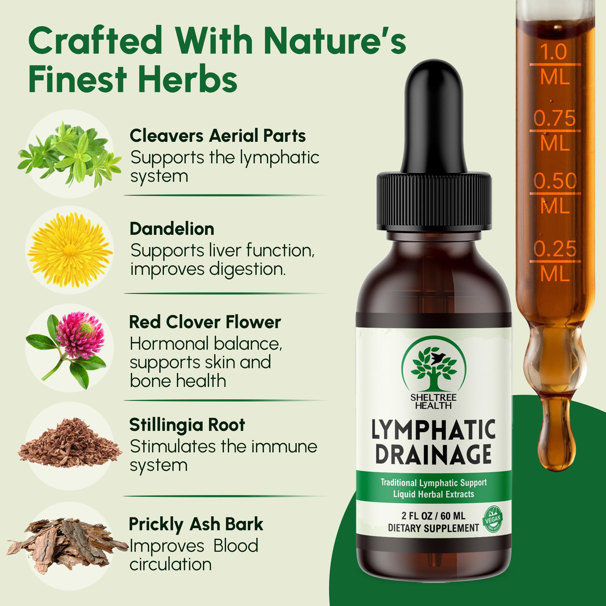 SHELTREE HEALTH Lymphatic Drainage Drops daily-use setup shows routine integration