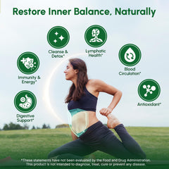 SHELTREE HEALTH Lymphatic Drainage Drops dandelion image emphasizes gentle support