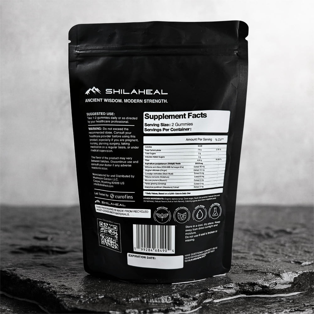 SHILAHEAL Shilajit Gummies in everyday wellness routine setup