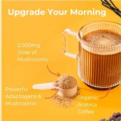 Shroovy rich mocha flavor with cinnamon and cacao for comforting aroma