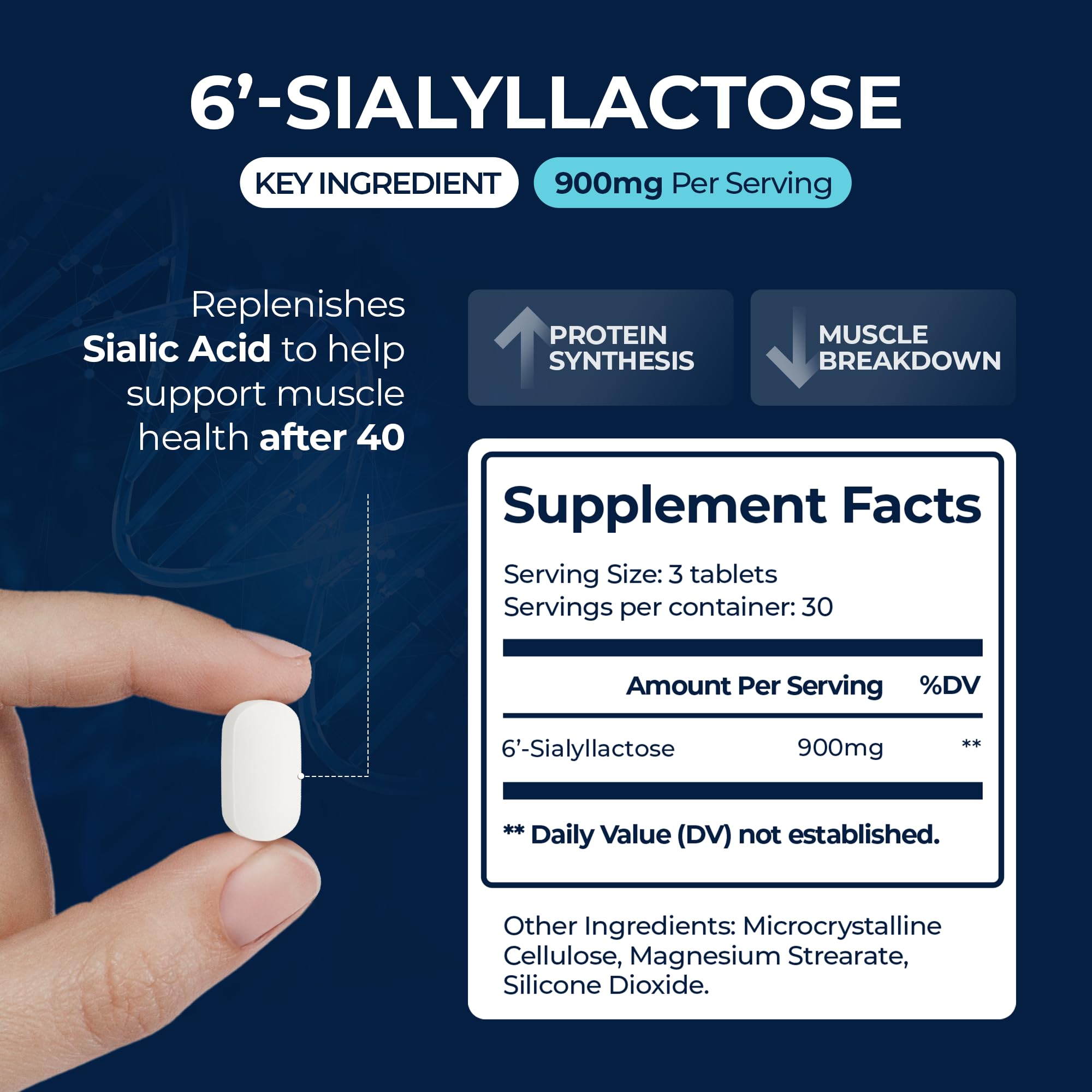 Close-up of a SIALLAC tablet highlighting muscle support