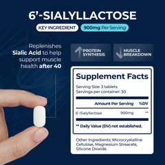 Close-up of a SIALLAC tablet highlighting muscle support