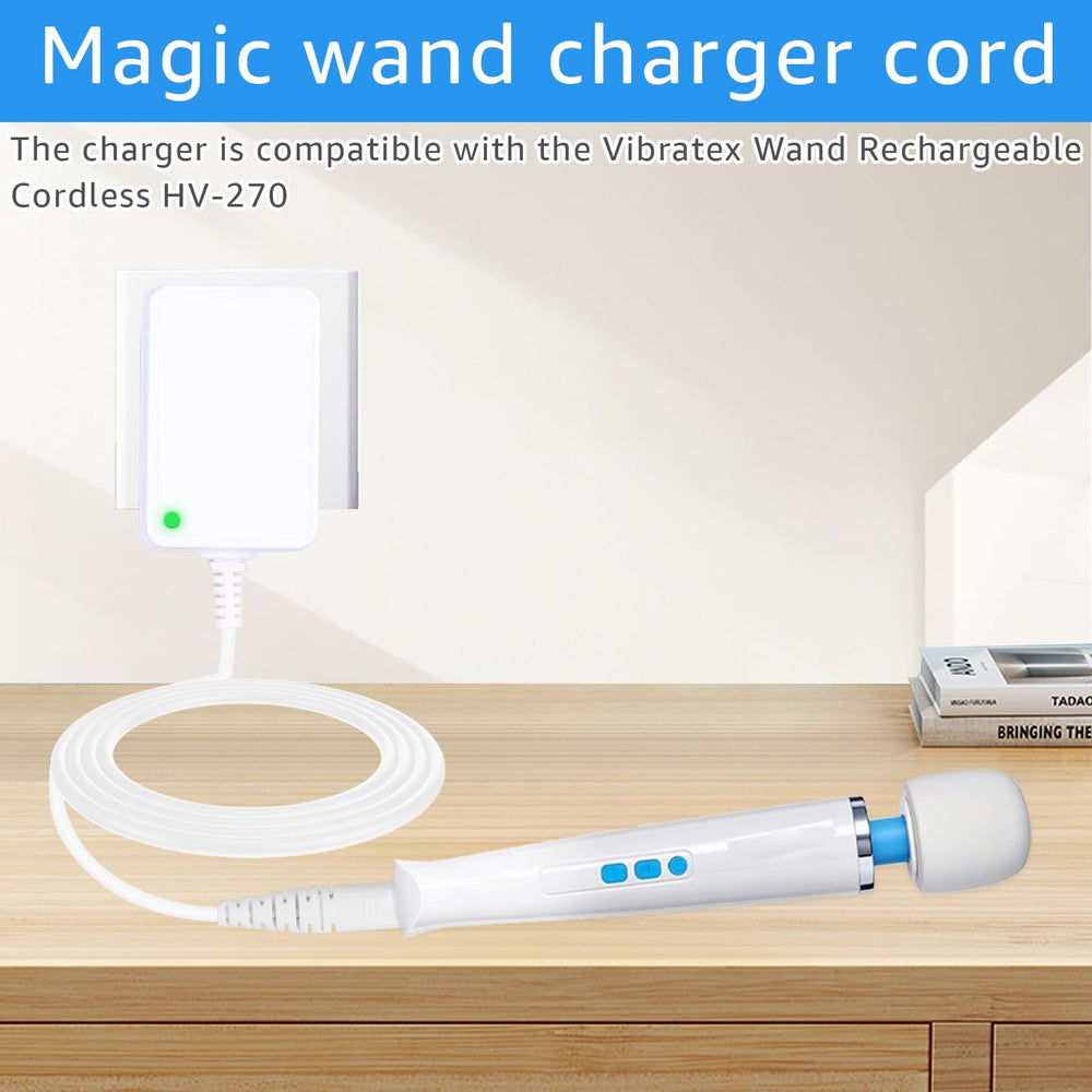 SigeIy HV-270 charger specs label demonstrates travel-ready details.