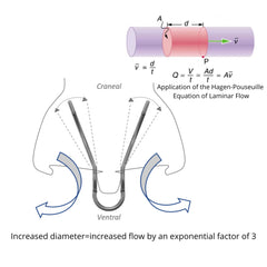 Silent Mammoth nasal dilator large stainless steel and silicone construction.