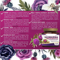 Silimarina ingredients visual featuring milk thistle, dandelion, fennel, and B vitamins