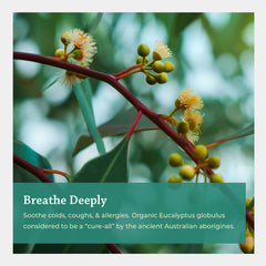 Silk Road Organic Eucalyptus Roll-On cap, easy twist for quick use.