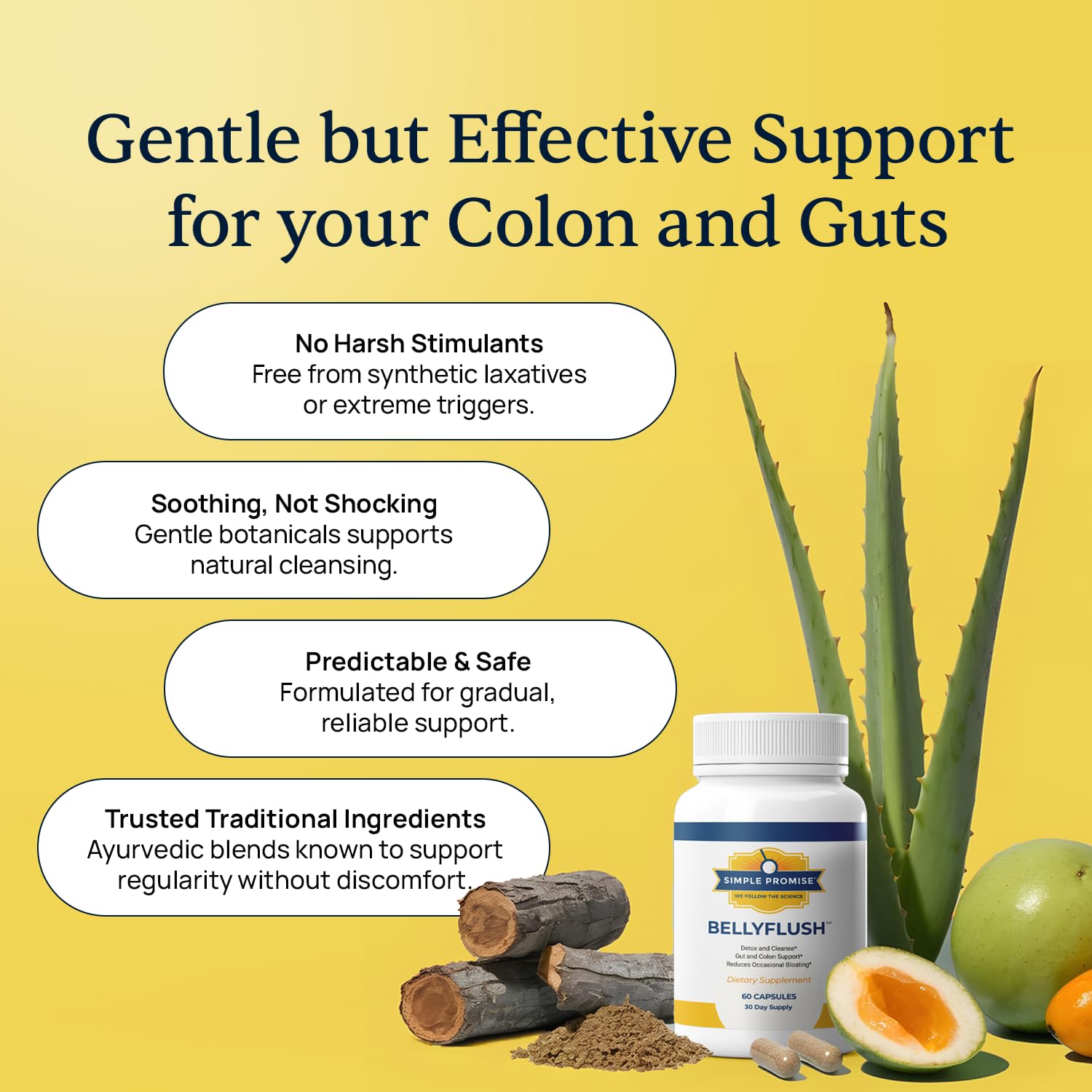 Simple Promise BellyFlush bentonite clay image highlights purifying gut balance.
