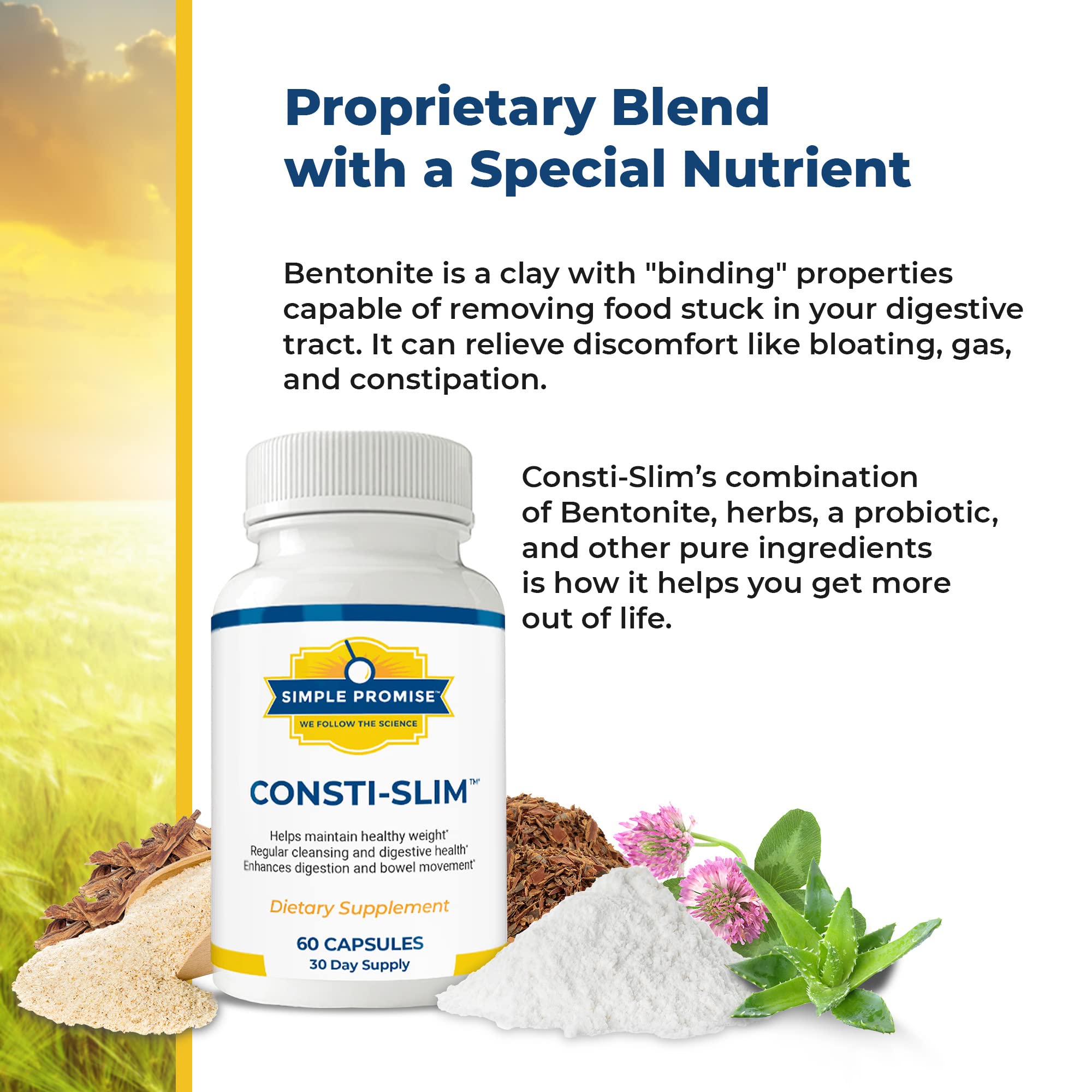 Probiotic capsule detail for Lactobacillus acidophilus in Consti-Slim