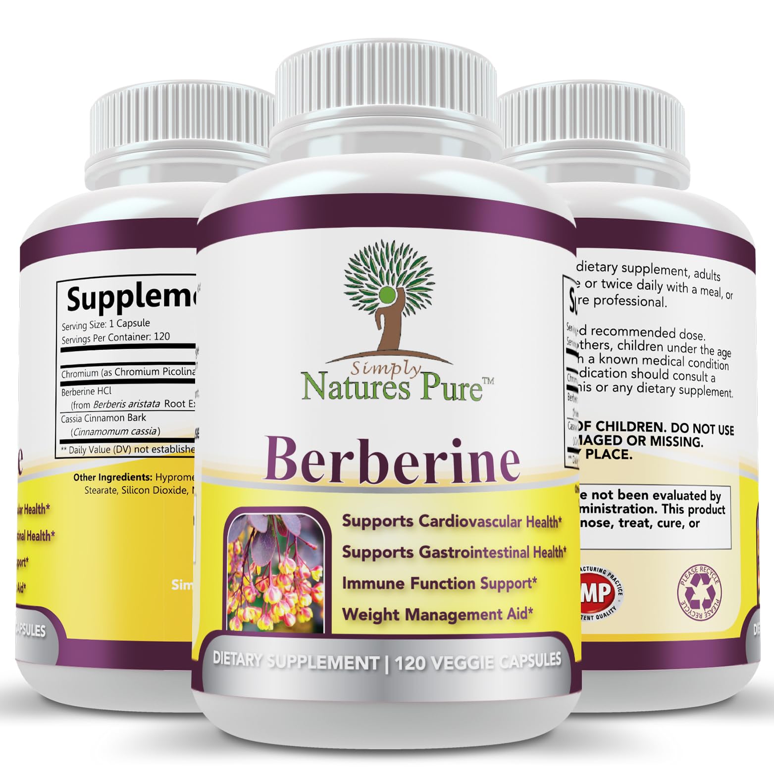 Simply Natures Pure Berberine HCl 500mg supplement facts closeup for informed choices