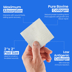 Simpurity collagen dressing pad cut-to-fit feature demonstrates precise coverage.