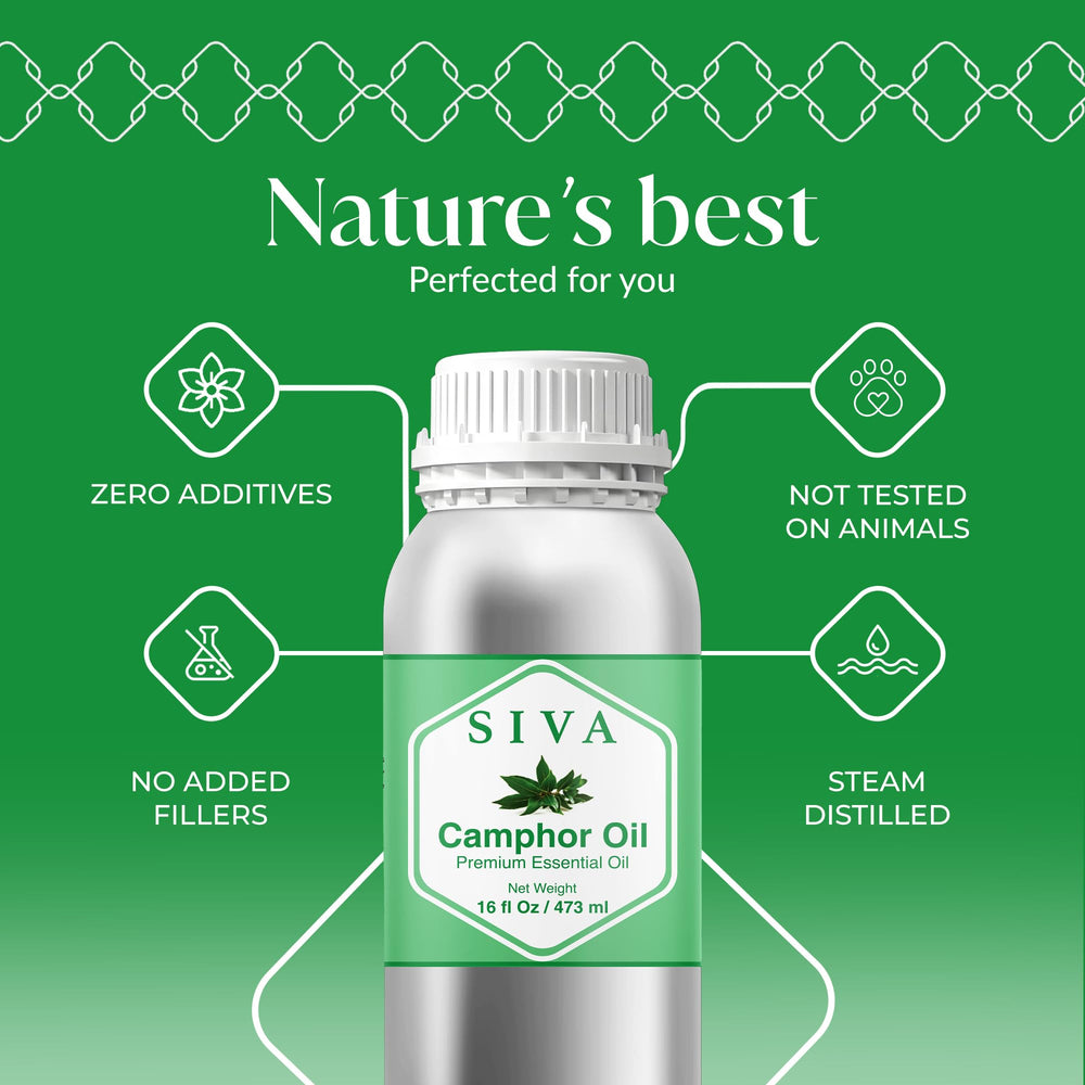 SIVA Camphor oil in diffuser with minty aroma