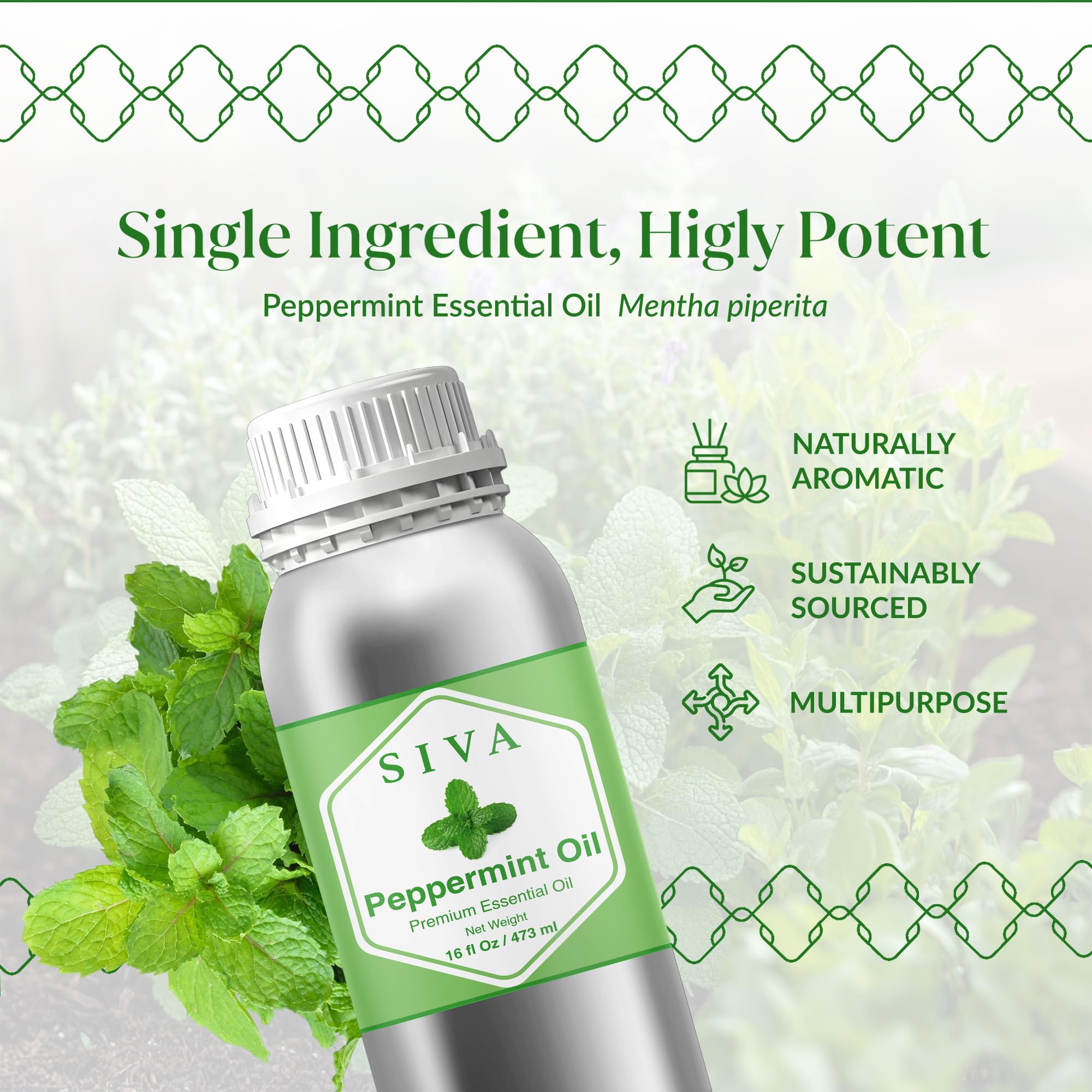 SIVA ORGANICS Peppermint Oil with creams ready for skin massage.