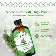Siva Rosemary Oil diffuser setup with herbaceous aroma.