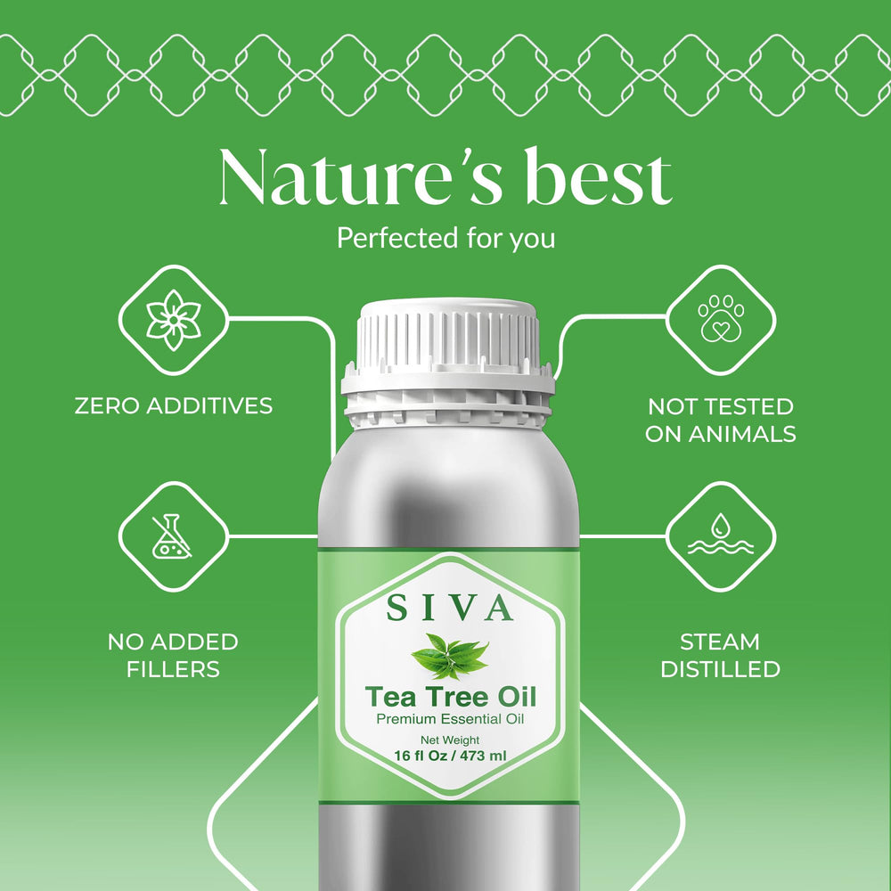 Siva Tea Tree Oil in diffuser creating a refreshing room scent