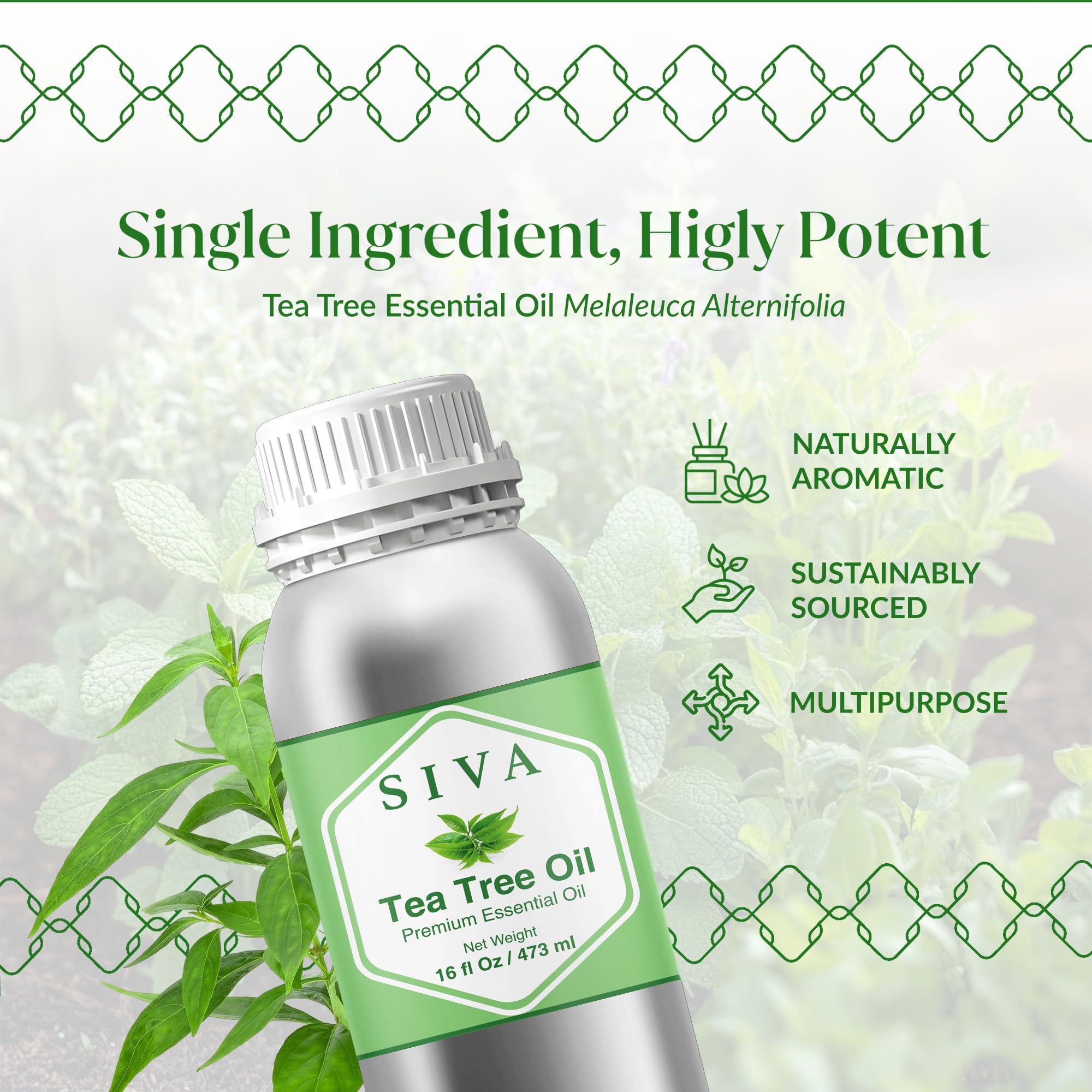 Siva Tea Tree Oil used on skin when diluted for face and body care