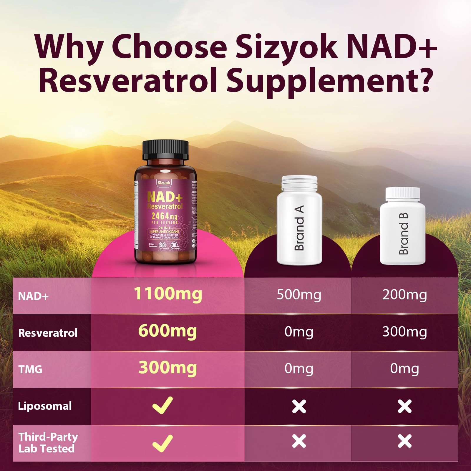 Sizyok Pterostilbene and Quercetin in the mix for antioxidant protection.
