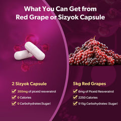 Sizyok red grape powder scoop showcases polyphenols for vitality