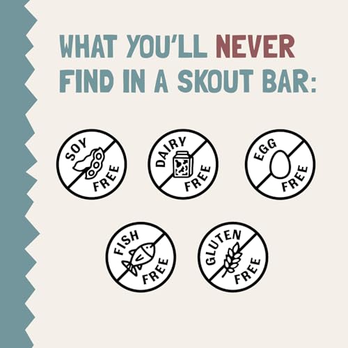 Skout on the go snack bar portable for school and work