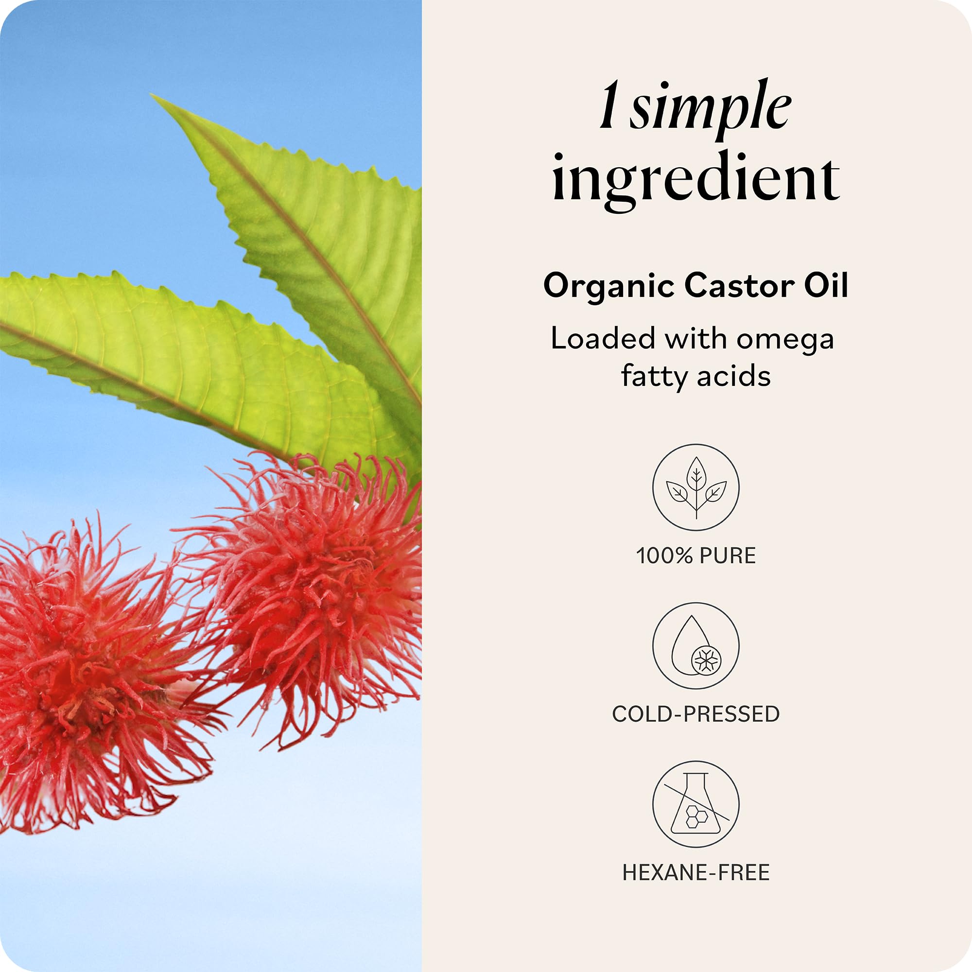 Sky Organics Castor Oil applied to hair for scalp nourishment and conditioning