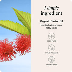 Sky Organics Castor Oil applied to hair for scalp nourishment and conditioning