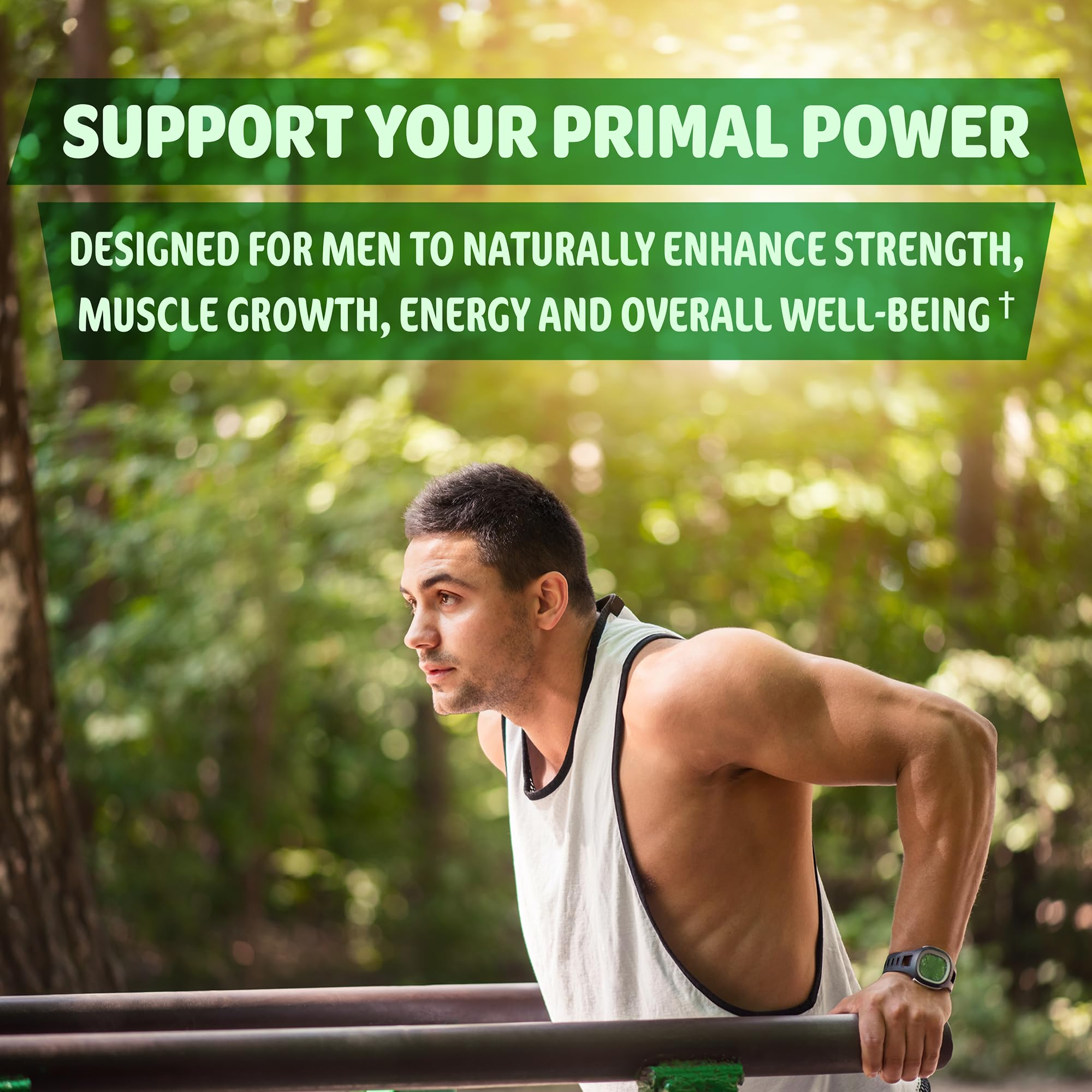 SLADAK NATURALS panax-ginseng element signaling sustained energy