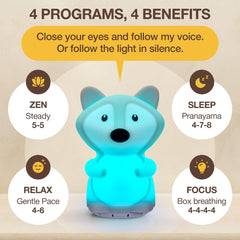 SlowRise lamp with voice prompts for guided meditation and relaxation.