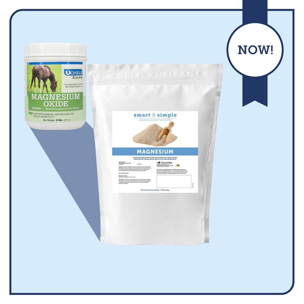 SmartEquine in-use horse scene suggests daily supplementation routine